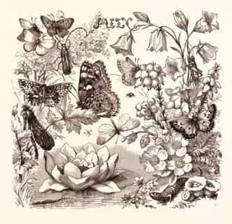 JULY, calendar, year, month, monthly