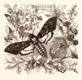 OCTOBER, calendar, year, month, monthly
