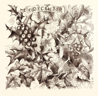 DECEMBER, calendar, year, month, monthly