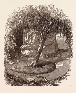GARDEN AT WATERLOO, THE BURIAL PLACE OF THE MARQUIS OF ANGLESEY'S LEG. Lord Uxbridge's leg was