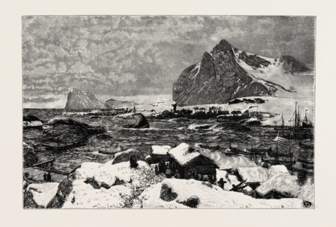 A LOFOTEN VILLAGE DURING THE FISHING SEASON. Lofoten is an archipelago and a traditional district
