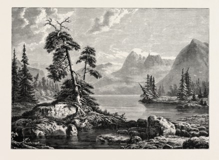 A VIEW ON THE HARDANGER FJORD. Hardangerfjord in the county of Hordaland in Norway is the third