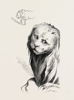 A MIDDLE AGE LION