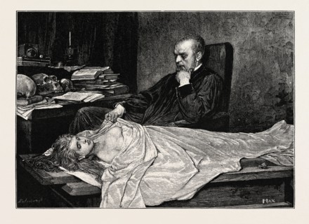 The Anatomist
