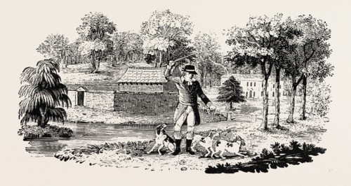 From The Chase, by W. Somerville, UK, britain, british, europe, united kingdom, great britain,