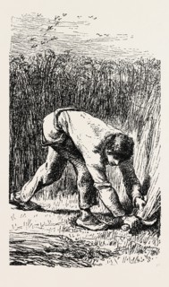 Reaping, Le Scieur de Ble