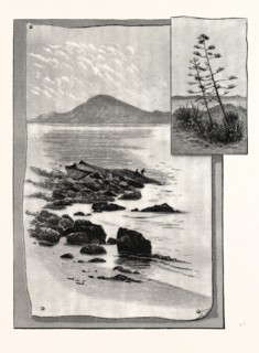 Camp Bay. Apes' Hill, Africa, in the distance