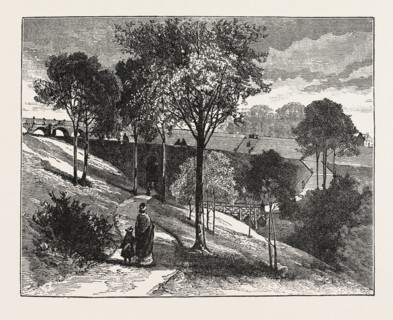 TERRACES IN BEAUMONT PARK, HUDDERSFIELD, UK, 1883