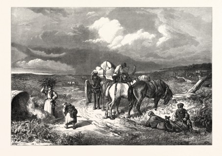 A CLEARING IN THE NEW FOREST, 1871