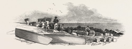 REMOVAL OF THE SHIP'S STORES FROM THE LANDING PLACE TO THE COAST GUARD STATION, 1846