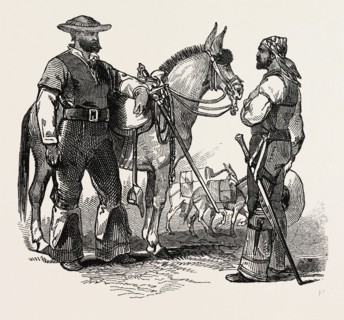 THE WAR IN MEXICO: HEAD MULETEER AND MAN, 1847