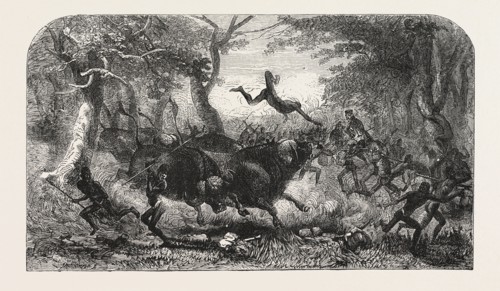 DR. LIVINGSTONE'S MISSIONARY TRAVELS AND RESEARCHERS IN SOUTH AFRICA: THE TRAVELLING PROCESSION