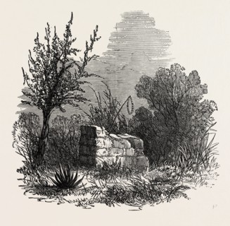 TOMB OF VIRGINIA, MAURITIUS, 1874