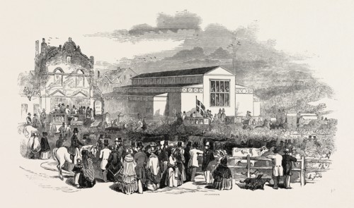 GREAT MEETING OF THE ROYAL AGRICULTURAL SOCIETY AT NEWCASTLE: THE GREAT PAVILION AND CATTLE SHOW,