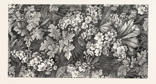 CARPET. BY BRINTON AND SONS KIDDERMINSTER. 1851