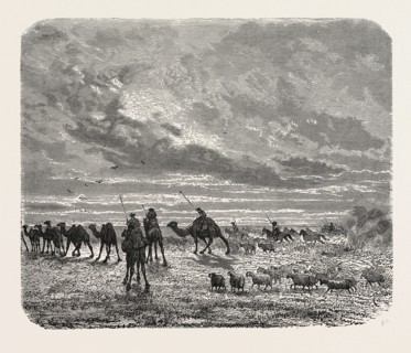 A MONGOL CAMP ON THE MOVE