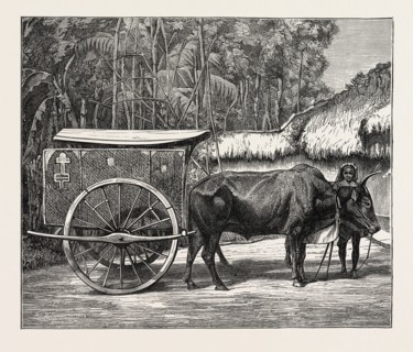 A BULLOCK CARRIAGE IN COCHIN-CHINA.