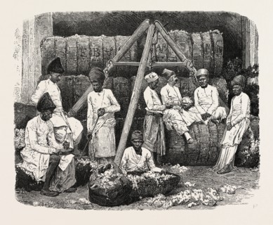 PARSEE COTTON MERCHANTS OF BOMBAY, INDIA