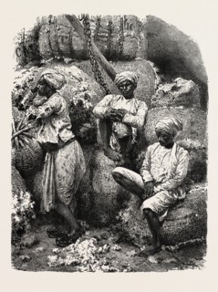 INDIAN COTTON OPERATIVES