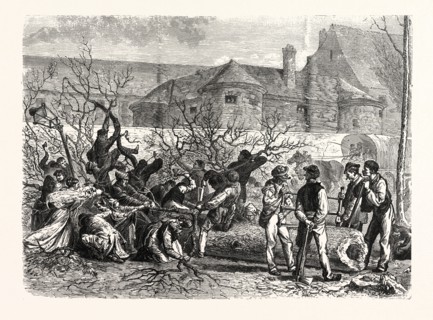 Franco-Prussian War: The population of Paris look for firewood, how and where they can. France
