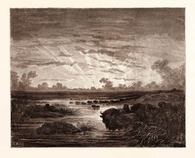 THE MISSISSIPPI SAVANNAHS, BY Gustave Doré.  Dore, 1832 - 1883, French. Engraving for Atala by