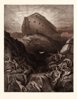 THE DOVE SENT FORTH FROM THE ARK, BY Gustave Doré. Dore, 1832 - 1883, French. Engraving for the