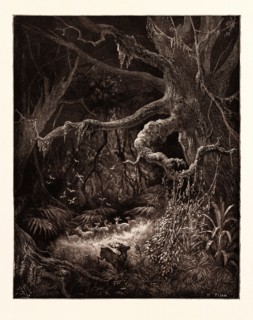 THE FORESTS ON THE BANKS OF THE MISSISSIPPI, BY Gustave Doré. Dore, 1832 - 1883, French. Engraving