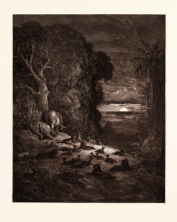 THE SEVENTH EVENING IN EDEN, BY GUSTAVE DORE, 1832 - 1883, French. Engraving for Paradise Lost by