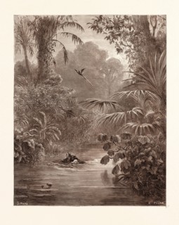 ATALA AND CHACTAS CROSSING A RIVER, BY GUSTAVE DORE, 1832 - 1883, French. Engraving for Atala by