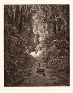 THE FIRST APPROACH OF THE SERPENT, BY Gustave Doré. Dore, 1832 - 1883, French. Engraving for