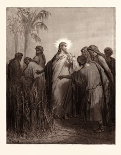 JESUS AND HIS DISCIPLES IN THE CORN FIELD, BY Gustave Doré. Gustave Dore, 1832 - 1883, French.