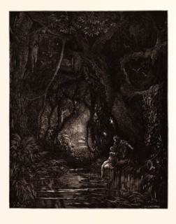 THE DEEP MID-FOREST, BY Gustave Doré. Gustave Dore, 1832 - 1883, French. Engraving for Atala by