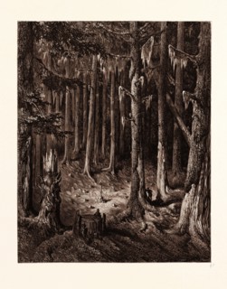THE BURIAL-GROUND IN THE FIR-FOREST, BY GUSTAVE DORE. Gustave Dore, 1832 - 1883, French. fir tree,