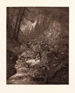 THE STORM IN THE FOREST, BY GUSTAVE DORE, 1832 - 1883, French. Engraving for The Divine Comedy,