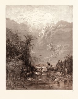 THE CREATION OF BIRDS, BY GUSTAVE DORE