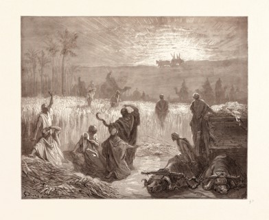 THE RETURN OF THE ARK TO BETH-SHEMESH, BY GUSTAVE DORE