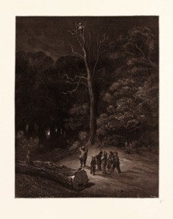 THE LIGHT IN THE WOOD, BY GUSTAVE DORE