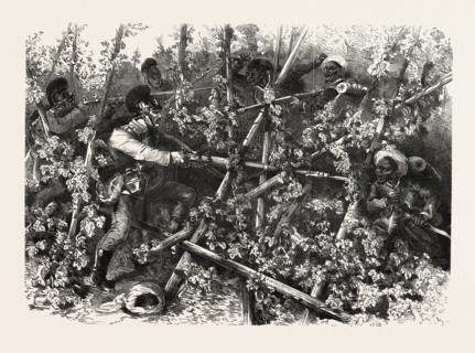 FRANCO-PRUSSIAN WAR: FIGHT BETWEEN THE BAVARIAN INFANTRY, THE TURCOS AND THE ZOUAVES, IN THE  HOP