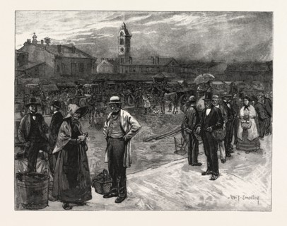 MARKET DAY, HAMILTON, CANADA, NINETEENTH CENTURY ENGRAVING