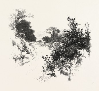 A ROADSIDE SKETCH, CANADA, NINETEENTH CENTURY ENGRAVING
