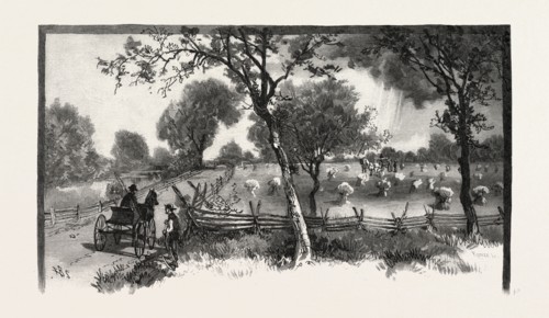 WHERE TECUMSEH STOOD AT BAY, CANADA, NINETEENTH CENTURY ENGRAVING