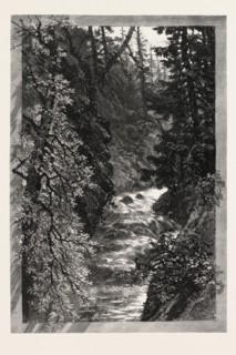 A TROUT POOL ON THE SAUGEEN, CANADA, NINETEENTH CENTURY ENGRAVING