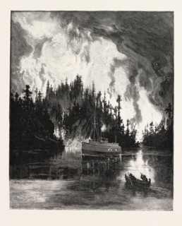 A BUSH FIRE BY NIGHT, CANADA, NINETEENTH CENTURY ENGRAVING
