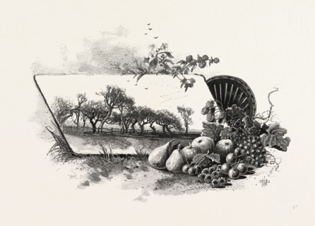 CENTRAL ONTARIO, CANADA, NINETEENTH CENTURY ENGRAVING