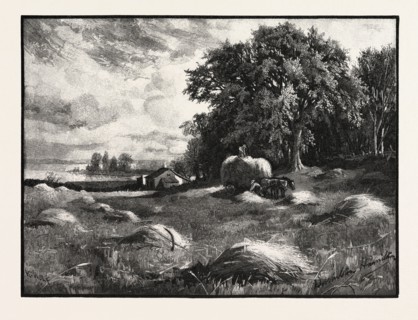 BARLEY HARVEST, CANADA, NINETEENTH CENTURY ENGRAVING