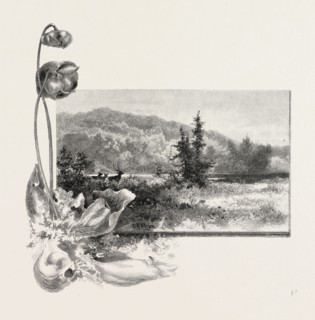 THE LOWER ST. LAWRENCE, HOME OF THE PITCHER PLANT, CANADA, NINETEENTH CENTURY ENGRAVING