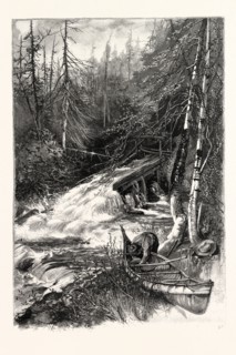 FOREST STREAM, AND TIMBER SLIDE, CANADA, NINETEENTH CENTURY ENGRAVING