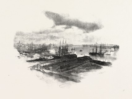 NEW BRUNSWICK, ST. JOHN, FROM PORTLAND, CANADA, NINETEENTH CENTURY ENGRAVING