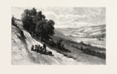 NOVA SCOTIA, VALLEY OF THE GASPEREAU, CANADA, NINETEENTH CENTURY ENGRAVING