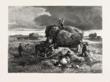 NOVA SCOTIA, ON THE TANTRAMAR MARSHES, CANADA, NINETEENTH CENTURY ENGRAVING